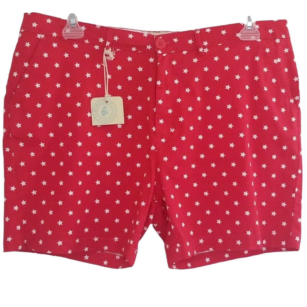 🆕️🇺🇲NWT Women's Plus Size Star Shorts